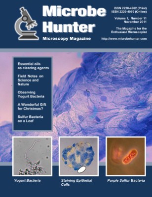 November 2011 (Vol. 1, No. 11)