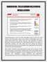 Indonesia Telecommunications Regulation