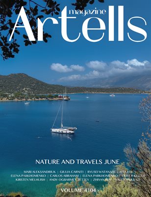 Publication preview