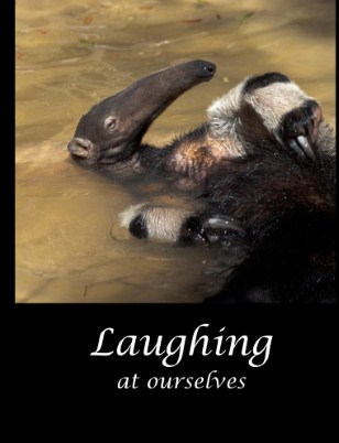 Laughing card