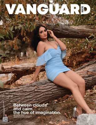 Vanguard #42 vol.13