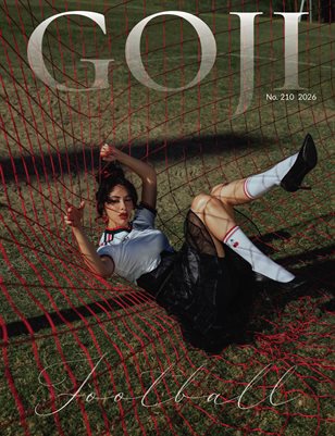 Publication preview