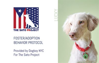 SATO - Foster/Adoption Behavior Protocol