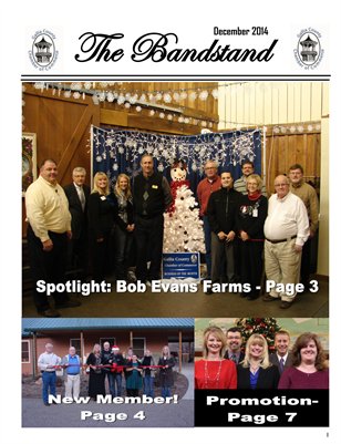 The Bandstand December 2014