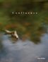 Confluence Book