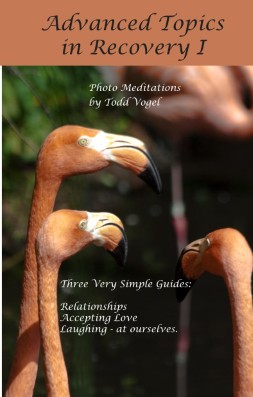 Advanced Topics in Recovery I