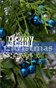 Merry Christmas: Blue Ornaments