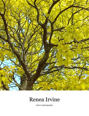 Renea Irvine