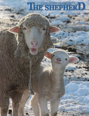 The Shepherd Magazine March 2012