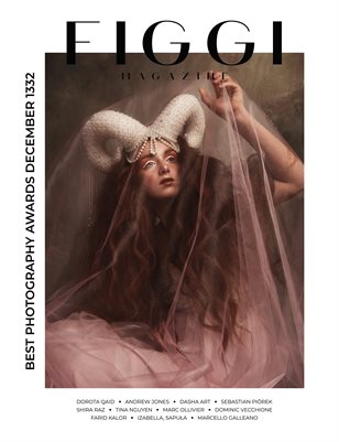 FIGGI MAGAZINE - BEST PHOTOGRAPHY AWARDS DECEMBER (Vol 1332)