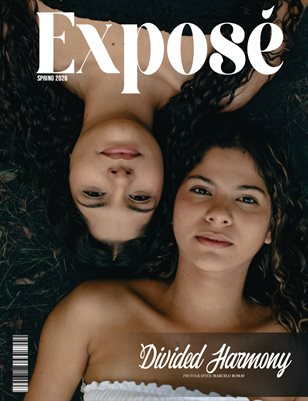 Publication preview