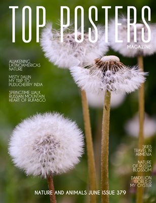  TOP POSTERS MAGAZINE- NATURE AND ANIMALS JUNE (Vol 379)