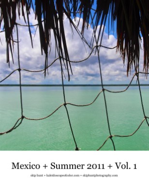Publication preview