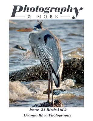 Issue 28 Birds Vol 2