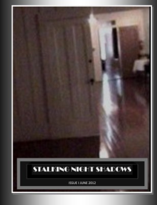 StalkingNightShadows