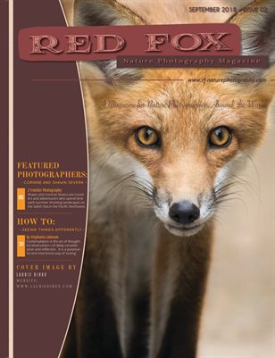 Issue 02: Fall 2018 - Red Fox Nature Photography