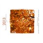 Calendar | 2013