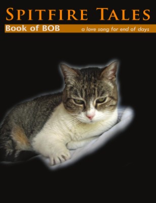 Publication preview