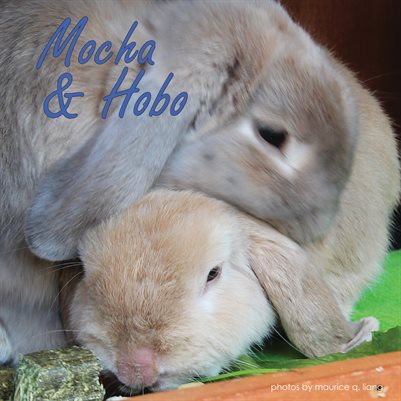 Mocha & Hobo