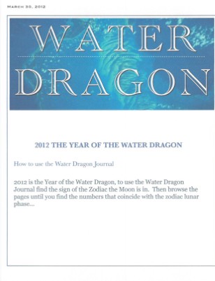 Enter the Dragon 2012