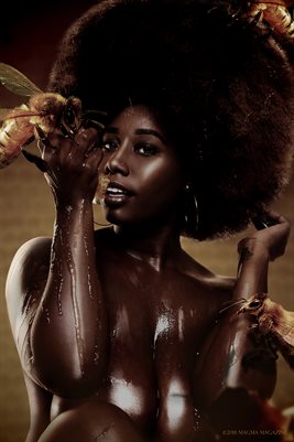 Honey Coated Chocolate