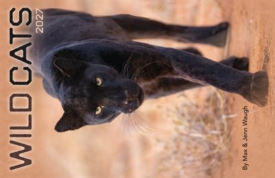 2027 Wild Cats Calendar