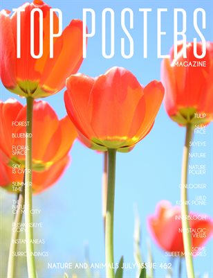 TOP POSTERS MAGAZINE - NATURE AND ANIMALS (Vol 462)