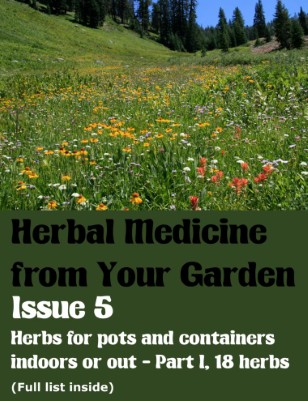 Herbs for pots and containers