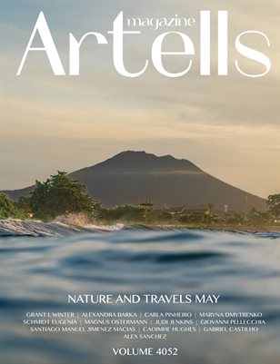 Publication preview