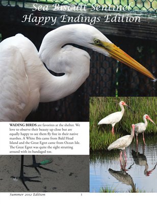 Sea Biscuit Summer 2012 Newsletter