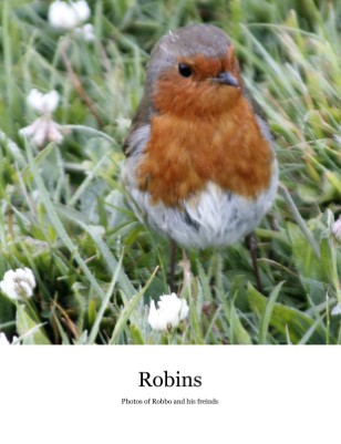 Publication preview