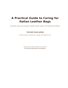 A Practical Guide to Caring for Italian Leather Bags