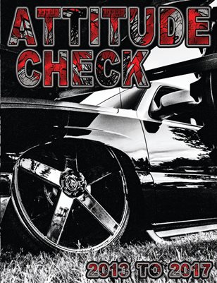 ATTITUDE CHECK 2013-2017