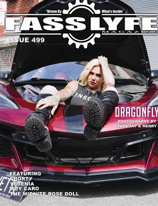 Publication preview