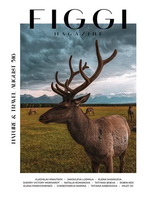 cover_thumbnail