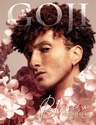 Publication preview