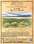 Big Tree Ranch Brochure