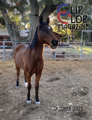 November 2025 Clip Clop Magazine - Vol 15 #6