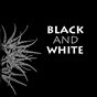 Black and White