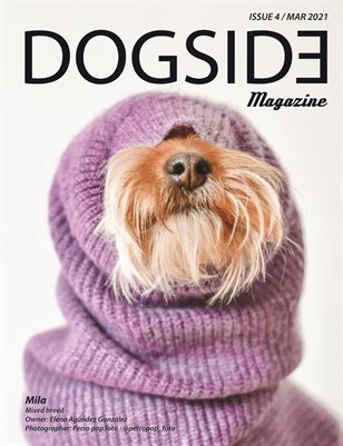 Dogside 4