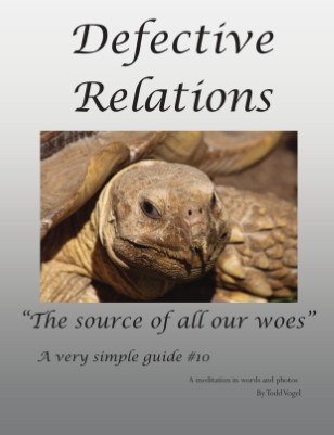 Defective Relations