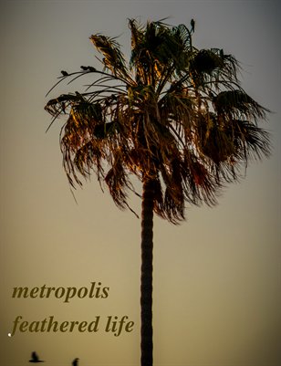 metropolis feathered life