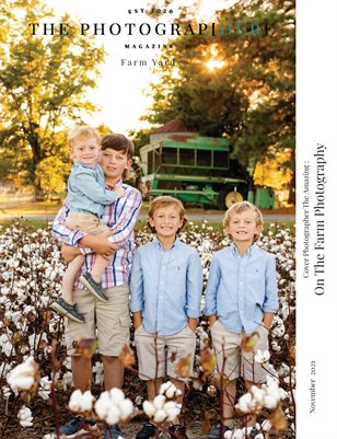 Farm Yard | November 2021