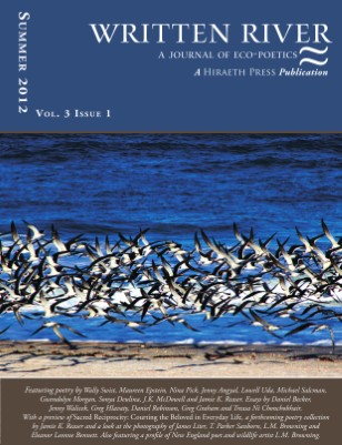 Publication preview