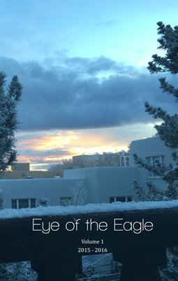 Eye of the Eagle Volume 1
