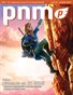 Pure Nintendo Magazine (PNM) Issue 29