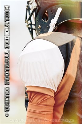 UFF 2013 All-Star Conference Posters (50)