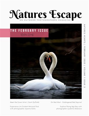 NATURES HEARTS | ISSUE TWO | FEBRUARY 2023