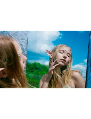 The Elven Warrior of Light