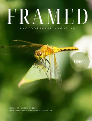 Framed Photographer Magazine, Issue 171